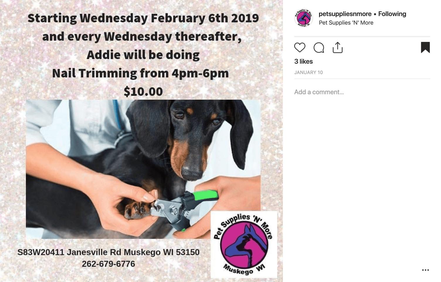 Grow Your Pet Retail Business by Offering Services